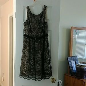 Black and gold lace Jessica Simpson dress